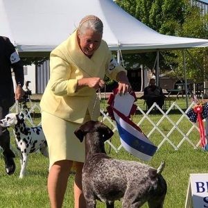 Meet your Posher, Kan-point